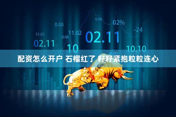 配资怎么开户 石榴红了 籽籽紧抱粒粒连心