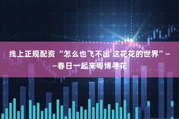 线上正规配资 “怎么也飞不出 这花花的世界”——春日一起来粤博寻花